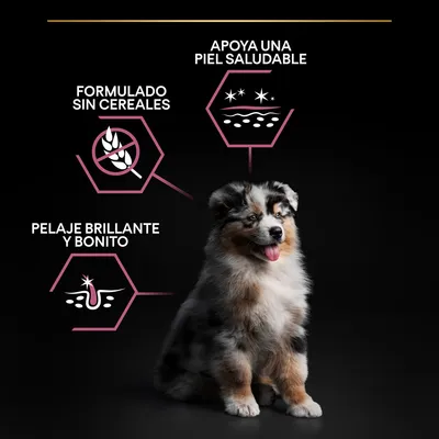 Perro junto a iconos y texto: formulado sin cereales, apoya una piel saludable, pelaje brillante y bonito.