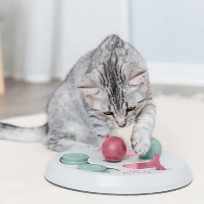 Grijze kat speelt met interactief speelgoedbord met roze en groene elementen op een witte ondergrond. Speelgoed heeft draaibare schijven en bolvormige onderdelen.