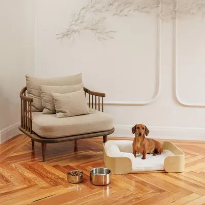 Modern Living Bayi Bol premium cu pereți dubli