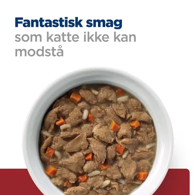 Fantastisk smag som katte ikke kan modstå. Skål med vådfoder til kat, synlige kød- og grøntsagsstykker i sovs.