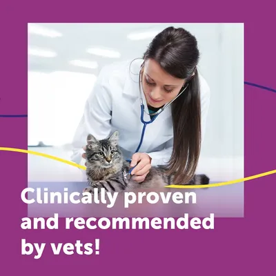 Probado clínicamente y recomendado por veterinarios.