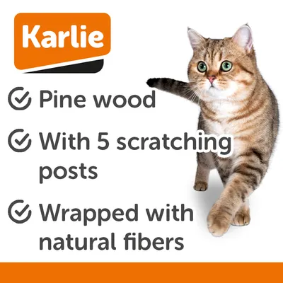 Karlie Alva Scratching Post