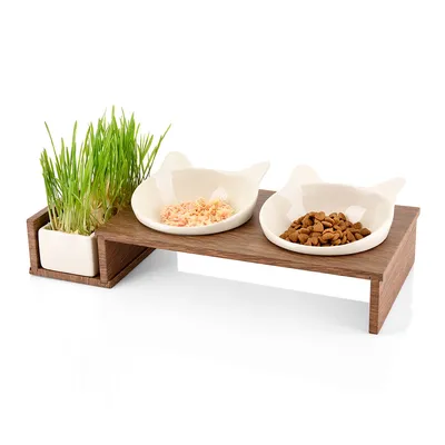 Suporte de madeira com dois comedouros de cerâmica em forma de cabeça de gato, um com comida húmida e outro com ração seca, e vaso quadrado com relva para gatos.