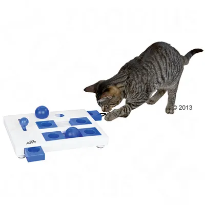 Pisică tigrată interacționând cu o jucărie puzzle alb-albastră pentru pisici, Cat Activity, cu bile și compartimente mobile din plastic.