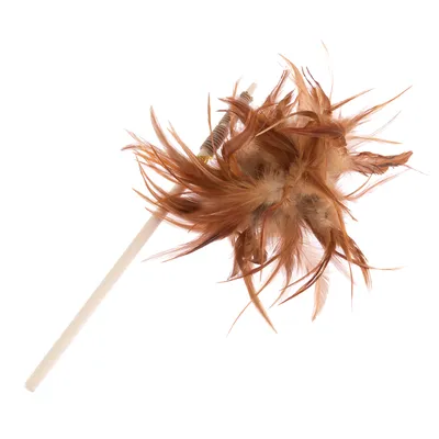 Baguette avec plumes marron fixées à une extrémité, manche en plastique clair visible, sans marque ni texte apparent.