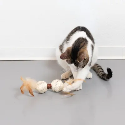Gato juega con un juguete de sisal y plumas. Adecuado para juego interactivo.