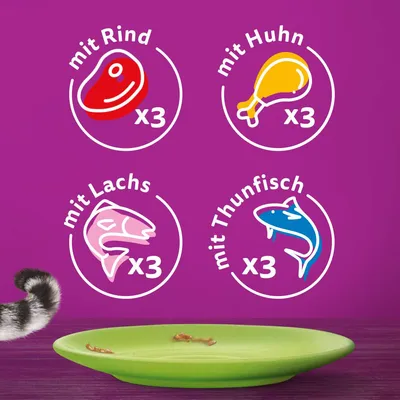 Produkt enthält je 3 Portionen mit Rind, Huhn, Lachs und Thunfisch. Illustrationen der Zutaten auf violettem Hintergrund.