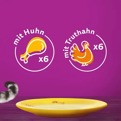 Sparpack: Whiskas Senior portionspåse 48 x 85 g
