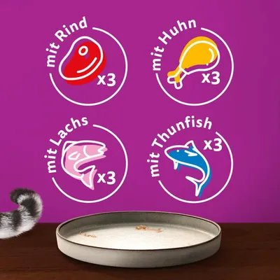 Produktbeschreibung: mit Rind x3, mit Huhn x3, mit Lachs x3, mit Thunfisch x3. Illustrationen der Zutaten auf violettem Hintergrund.