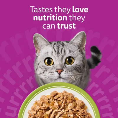 Whiskas 1+ Mixed Menu in Jelly Whiskas 1+ Mixed Menu in Jelly