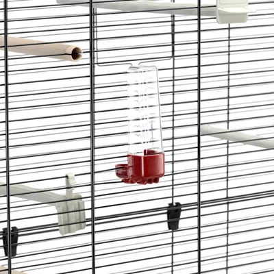 Transparent water dispenser with a red base attached to the bars of a metal cage, shown alongside perches and cage accessories.
