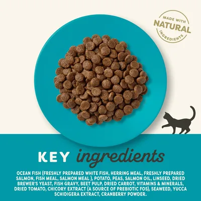 Sucha karma na niebieskim talerzu, napis: Made with natural ingredients. Widoczne składniki po angielsku, m.in. ocean fish, potato, peas, salmon oil, vitamins & minerals.