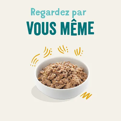Texte : Regardez par VOUS MÊME. Bol blanc rempli de nourriture humide pour animaux, présenté sur fond clair avec des lignes décoratives jaunes autour du bol.