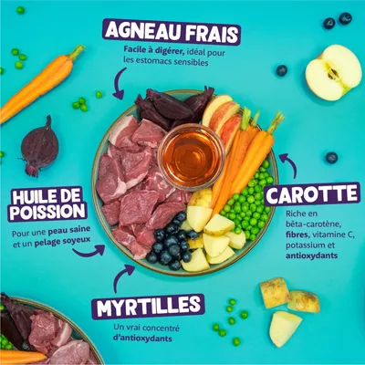 Agneau frais, facile à digérer pour estomacs sensibles. Huile de poisson pour une peau saine et un pelage brillant. Carottes avec bêta-carotène, fibres, vitamine C. Myrtilles antioxydantes.