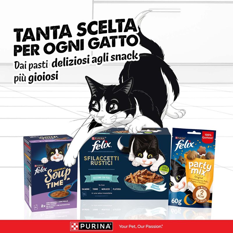 Megapack Felix Sfilaccetti Rustici in Buste 120 x 80 g