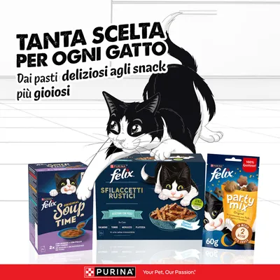 Multipack Felix Sfilaccetti Rustici in Buste 120 x 80 g