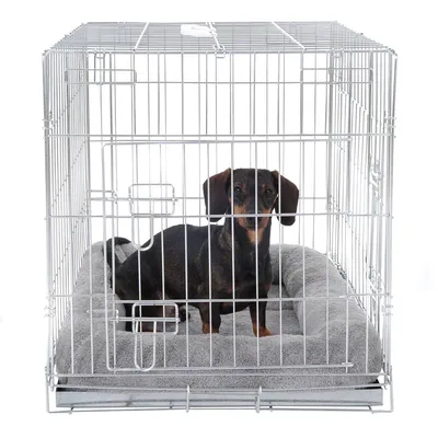 Metallbur med galler, inuti en hund på en grå, vadderad kudde.