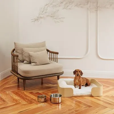 Modern Living легло Mora
