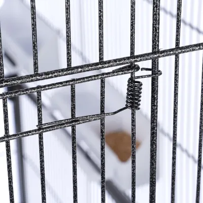 Detailweergave van een metalen kooi met veiligheidssluiting en voerbak op de achtergrond.