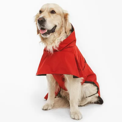 Hond draagt rode regenjas met capuchon en zwarte accenten, geschikt voor bescherming tegen nattigheid.