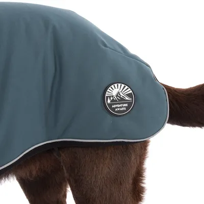 Dunkelblauer Hundemantel mit rundem Patch, Motiv Berge und Text 'Adventure Awaits'.