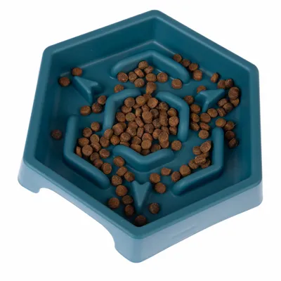 Gamelle hexagonale en plastique bleu avec croquettes brunes réparties à l’intérieur, parois en relief formant un labyrinthe visible.