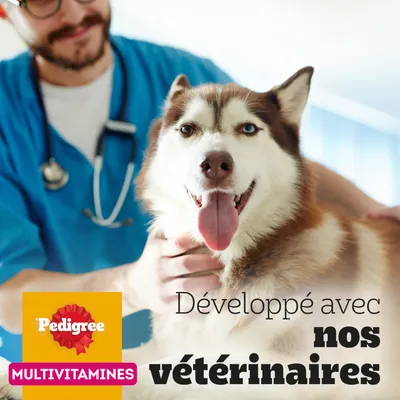 Pedigree Multivitamins Entretien des articulations pour chien