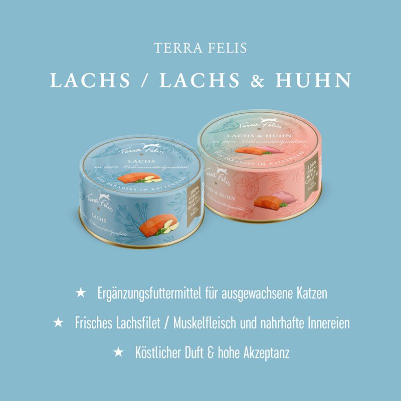 Terra Felis 12 x 80 g