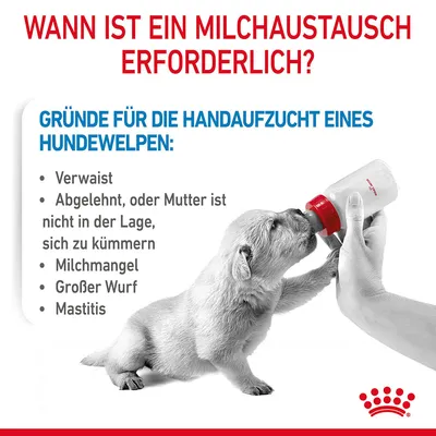 Gründe für die Handaufzucht eines Hundewelpen: Verwaist, abgelehnt oder Mutter nicht in der Lage, Milchmangel, grosser Wurf, Mastitis. Wann ist ein Milchaustausch erforderlich?