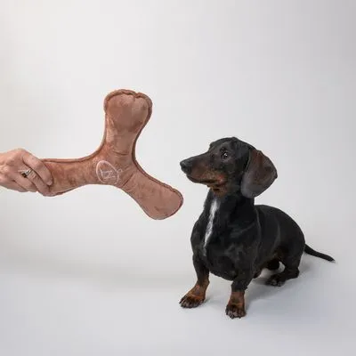 Gioco per cani Nomad Tales Blush Boomerang peluche