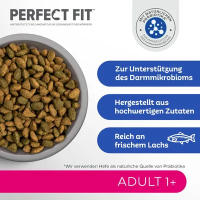 Perfect Fit Adult 1+ Trockenfutter. Unterstützt das Darmmikrobiom, hergestellt aus hochwertigen Zutaten, reich an frischem Lachs. Mit natürlichen Präbiotika.