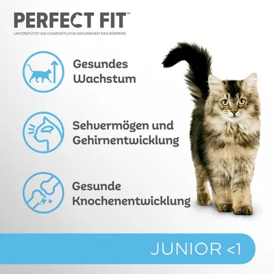Perfect Fit Junior <1. Unterstützt gesundes Wachstum, Sehvermögen und Gehirnentwicklung sowie gesunde Knochenentwicklung. Katze abgebildet.