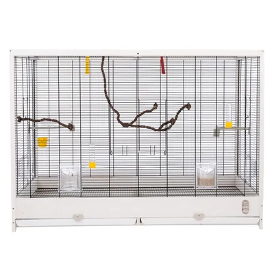 Grande cage rectangulaire en métal avec branches, perchoirs, mangeoires et abreuvoirs transparents, fond blanc, deux tiroirs de nettoyage visibles en bas.