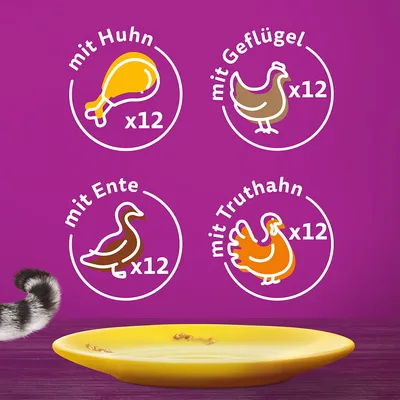 Sparpack: Whiskas Senior portionspåse 48 x 85 g