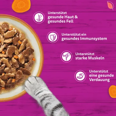 Multipack Whiskas Tasty Mix Portionsbeutel 48 x 85 g