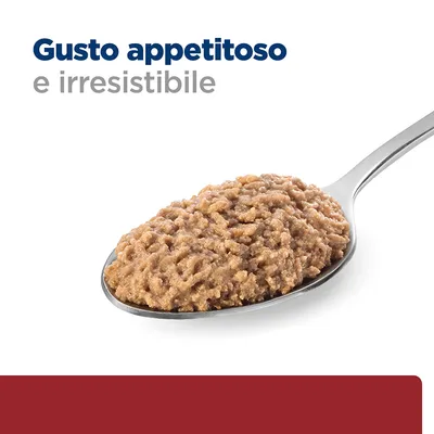 Gusto appetitoso e irresistibile. Cibo umido marrone su un cucchiaio, testo visibile: Gusto appetitoso e irresistibile.