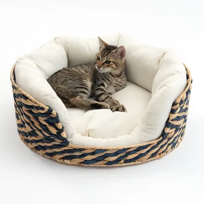 Geflochtenes Katzenbett mit beigem Kissen, Katze liegt entspannt darin.