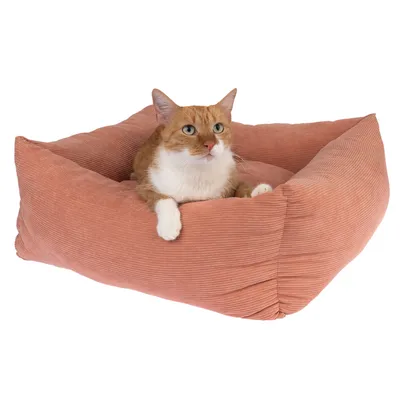 Mačja postelja v roza žametnem videzu s mačko, ki sedi v njej.