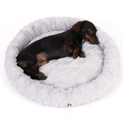 Rundes, graues Hundebett mit weicher Polsterung. Ein Dackel liegt entspannt darin.
