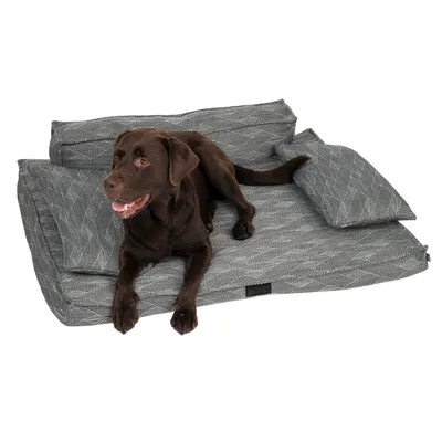 Brauner Hund liegt auf einem grauen, gemusterten Hundebett mit Kissen.