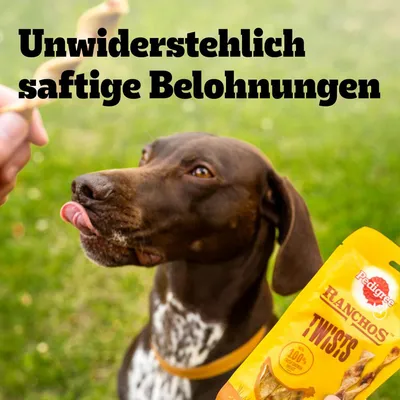 Pedigree Ranchos Twists, 100% natürliche Zutaten. Text: Unwiderstehlich saftige Belohnungen. Hund schaut auf Leckerli.