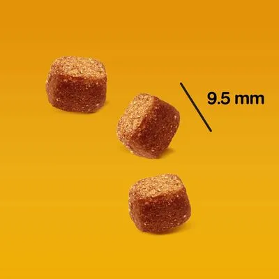 Pedigree Tasty Bites Pedigree Tasty Bites