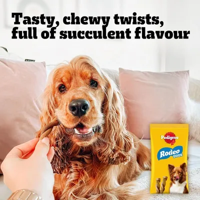 PEDIGREE® RODEO™ DUOS Adult Dog Treats