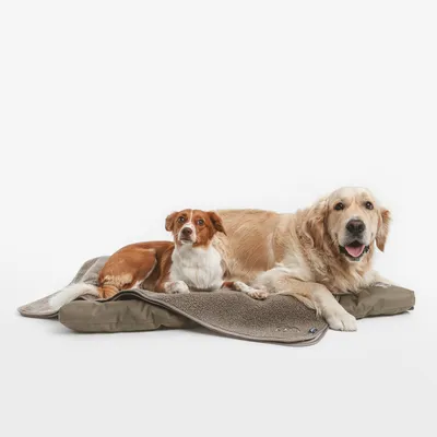 Deux chiens allongés sur un grand tapis pour animaux, surface supérieure en tissu doux et dessous en tissu imperméable, couleur beige et marron.