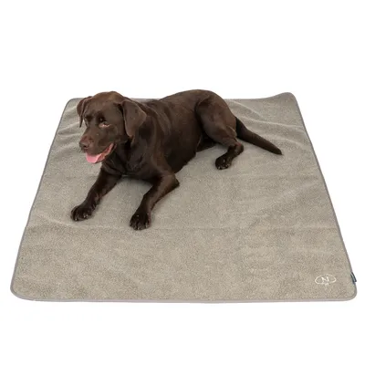Chien marron allongé sur une grande couverture grise en tissu, logo Nobby visible dans un coin de la couverture.