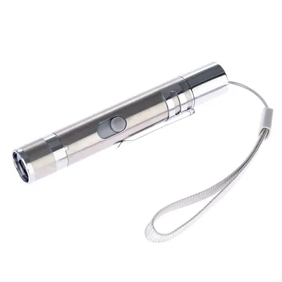 Silver-coloured laser pointer with wrist strap and clip, suitable for interactive play.