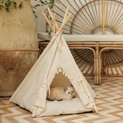 Beiges Tipi-Zelt aus Stoff mit Holzstangen, dekorativen Fransen und gepolsterter Liegefläche. Katze liegt im Inneren des Zeltes.