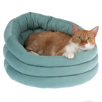 Kattenbed in lichtgroen met een oranje-witte kat die erin ligt. Rond ontwerp met gewatteerde randen.