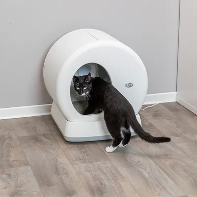 Черна котка излиза от бяла, кръгла котешка тоалетна Trixie върху дървен под.