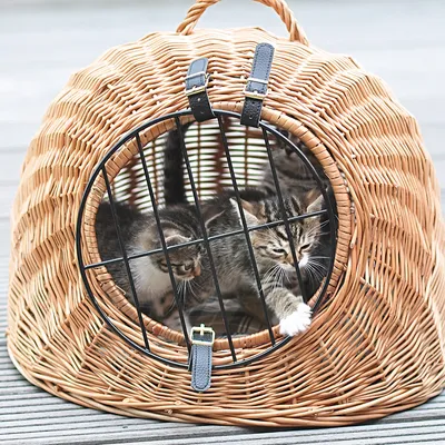 Panier de transport en osier avec grille métallique noire, contenant trois chatons tigrés visibles à l’intérieur. Poignée et sangles en cuir noir sur le dessus.